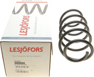 Lesjofors 4027699