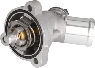 Mahle TM 43 105