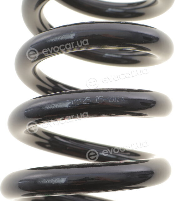 Solgy 212125