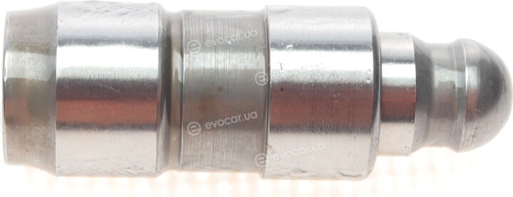 Borsehung B18205
