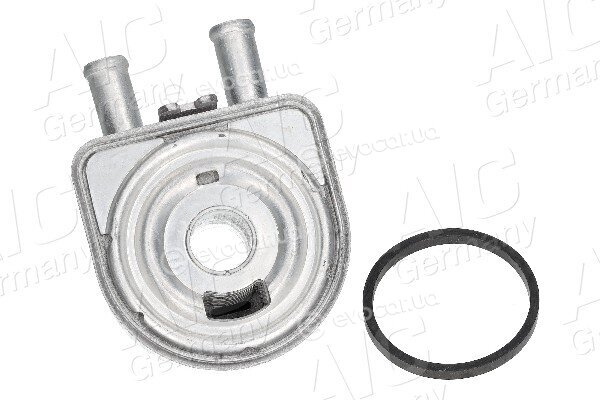 AIC 71955