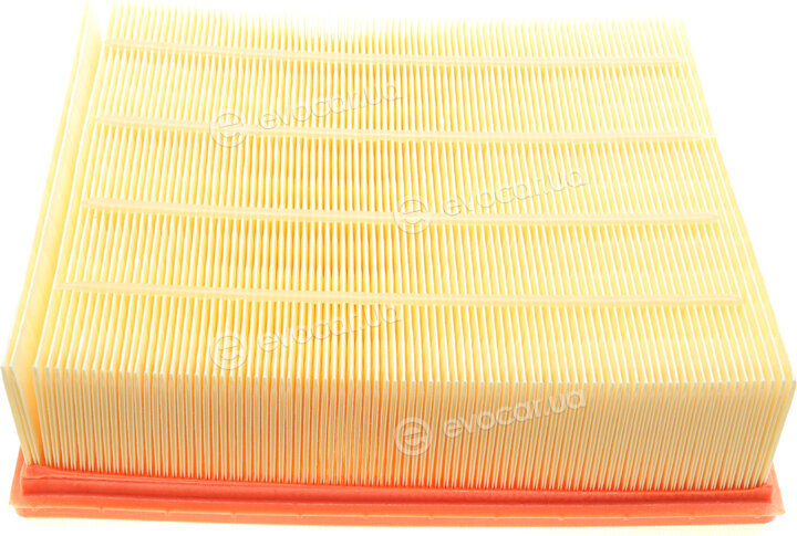 Mann C 26 206/1