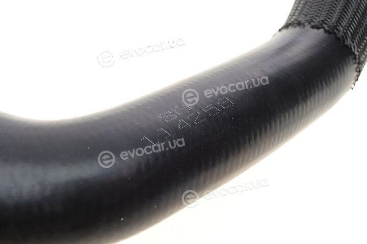Solgy 114258
