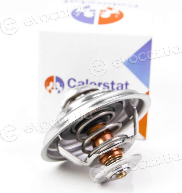 Vernet / Calorstat TH5973.80