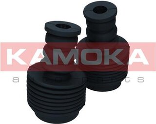 Kamoka 2019236