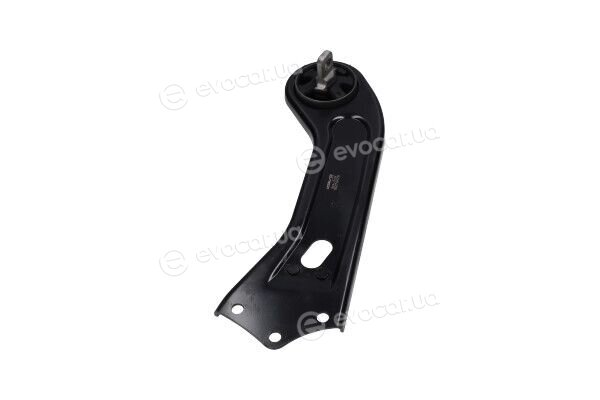 Kavo SCA-12164