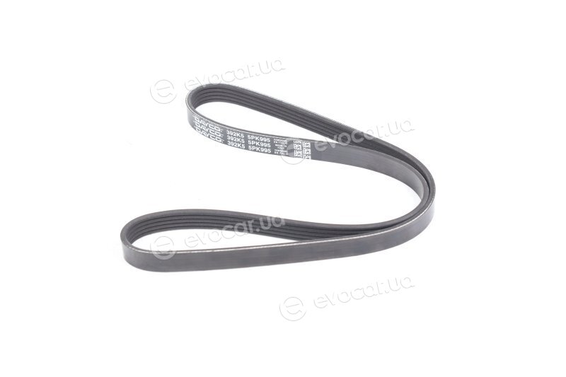 Dayco 5PK995