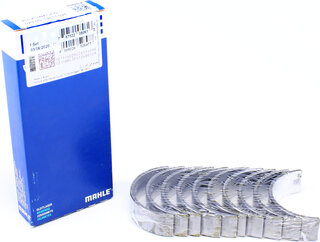Mahle 029 HS 19911 025