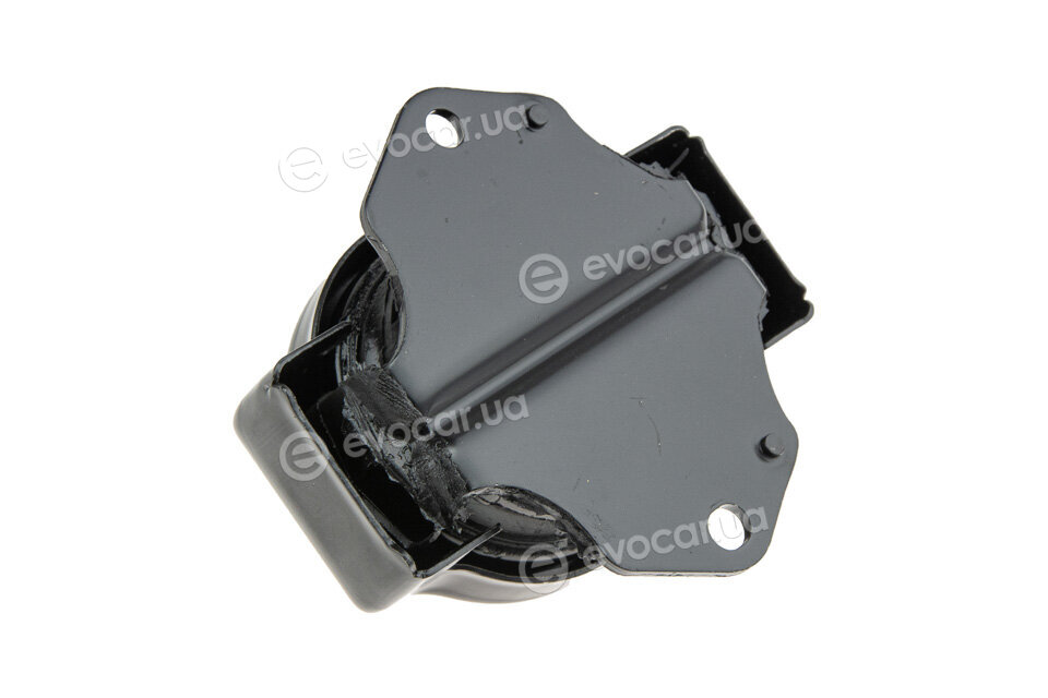 NTY ZPS-MS-011