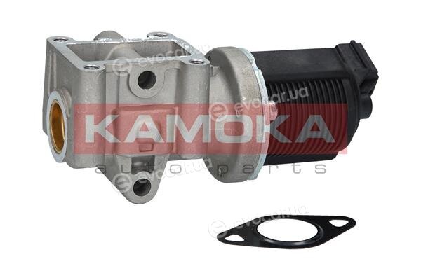 Kamoka 19013