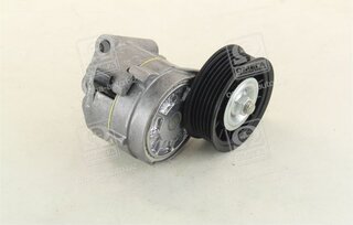 Dayco APV1021