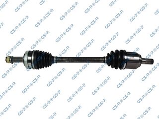 GSP 224231