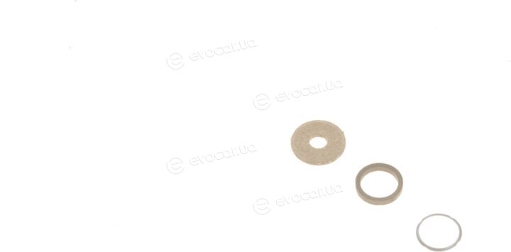 Bosch F 00V C99 002