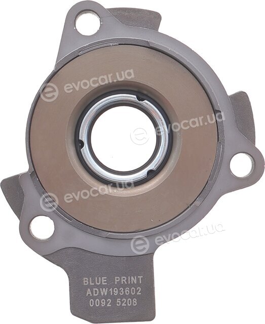 Blue Print ADW193018