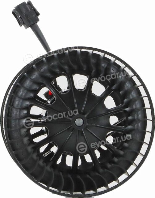 Walker / Fonos WBL01429