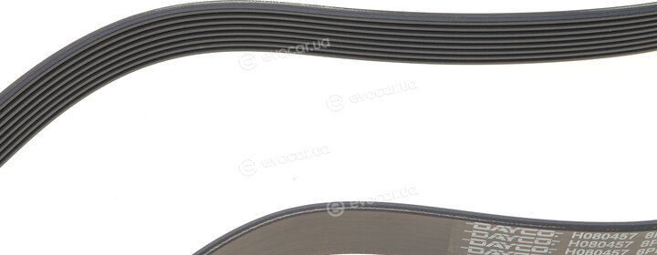 Dayco 8PK1162H