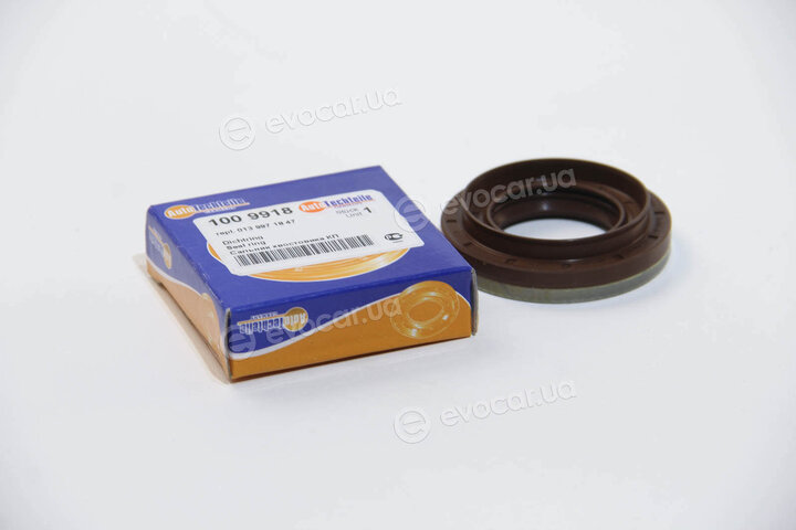 Autotechteile 100 9918