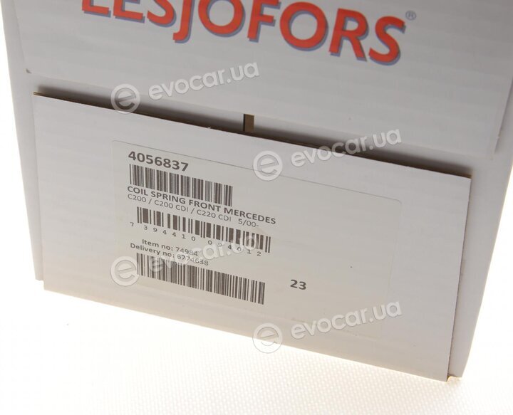 Lesjofors 4056837