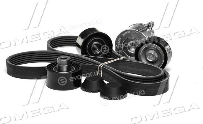 Continental 6PK1352K1