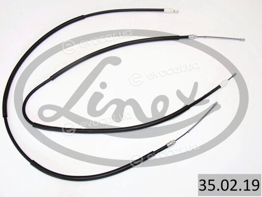 Linex 35.02.19
