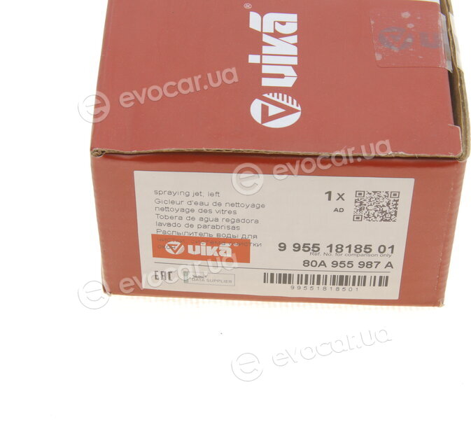 Vika 99551818501