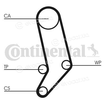 Continental CT939WP5