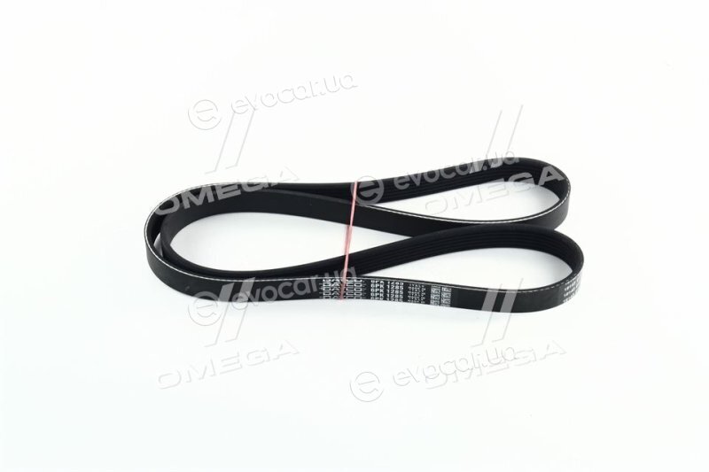 Dayco 6PK1285