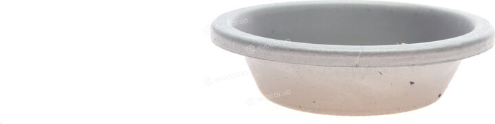 Febi 170229