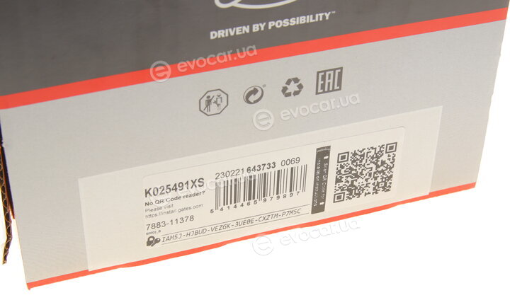 Gates K025491XS