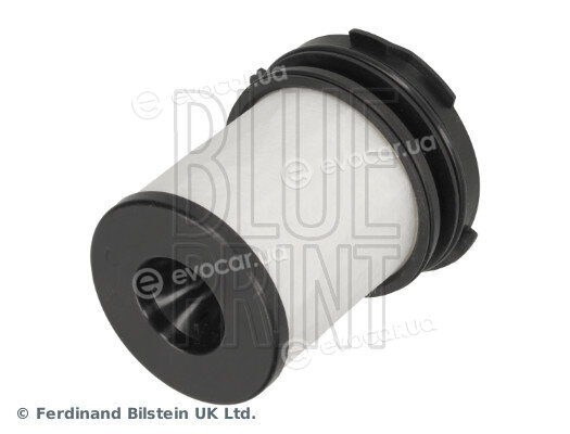 Blue Print ADBP210193