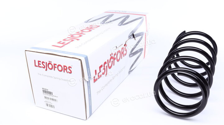 Lesjofors 4014213