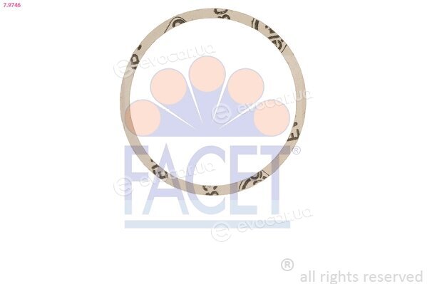 Facet 7.9746