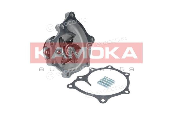 Kamoka T0169
