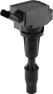 BorgWarner ZSE300