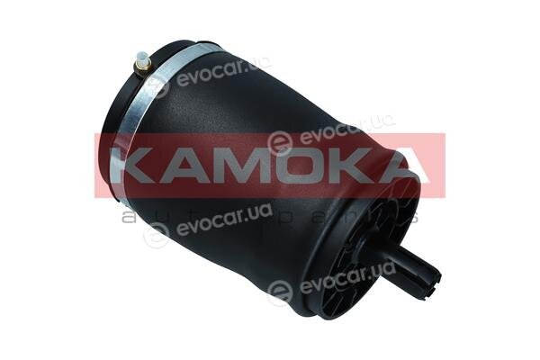 Kamoka 2079031