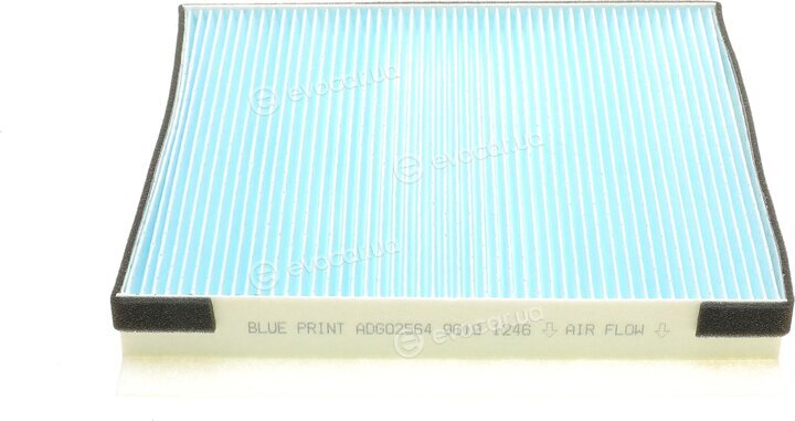 Blue Print ADG02564