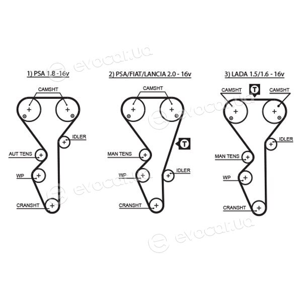 Gates K025468XS