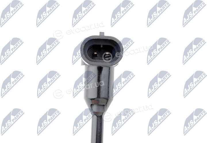 NTY CZW-PL-011A