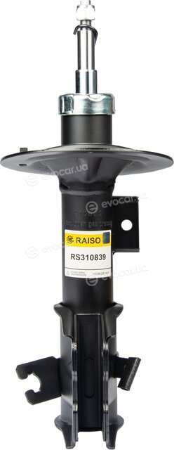Raiso RS310839