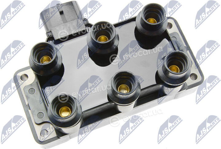NTY ECZ-CH-019