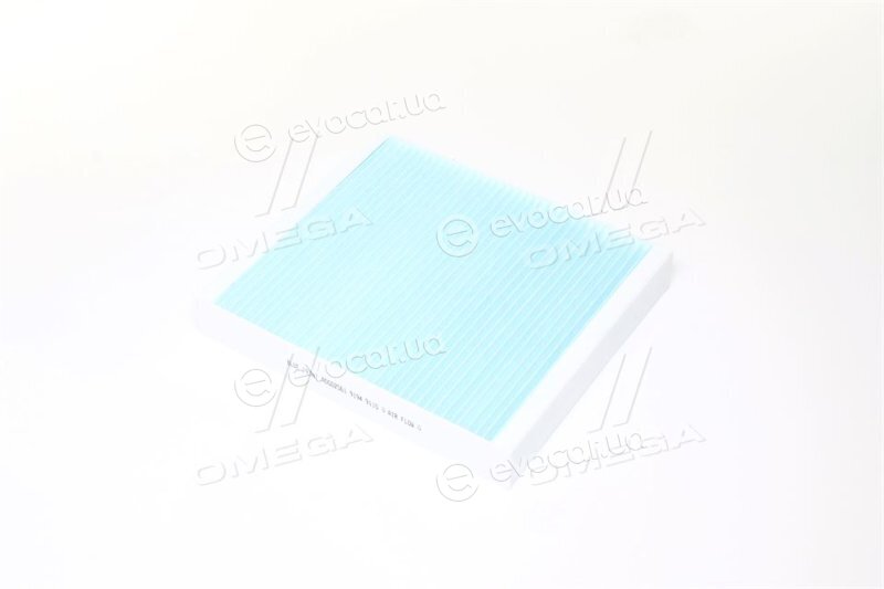 Blue Print ADG02561