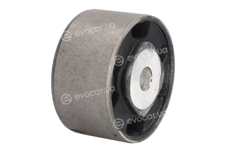Tedgum TED61687