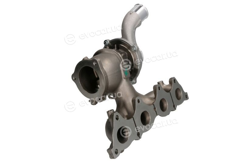 BorgWarner 16399880016