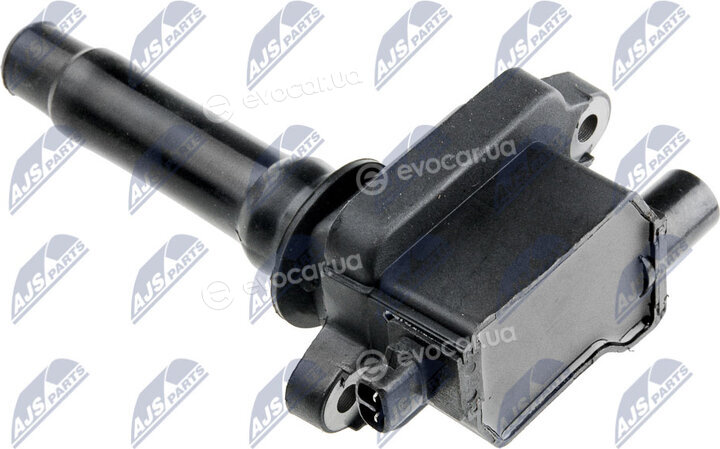 NTY ECZ-KA-310