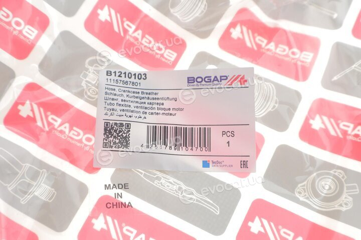 Bogap B1210103