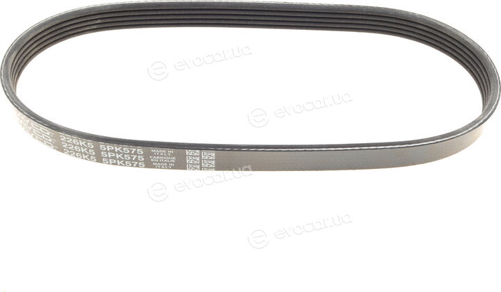 Dayco 5PK575