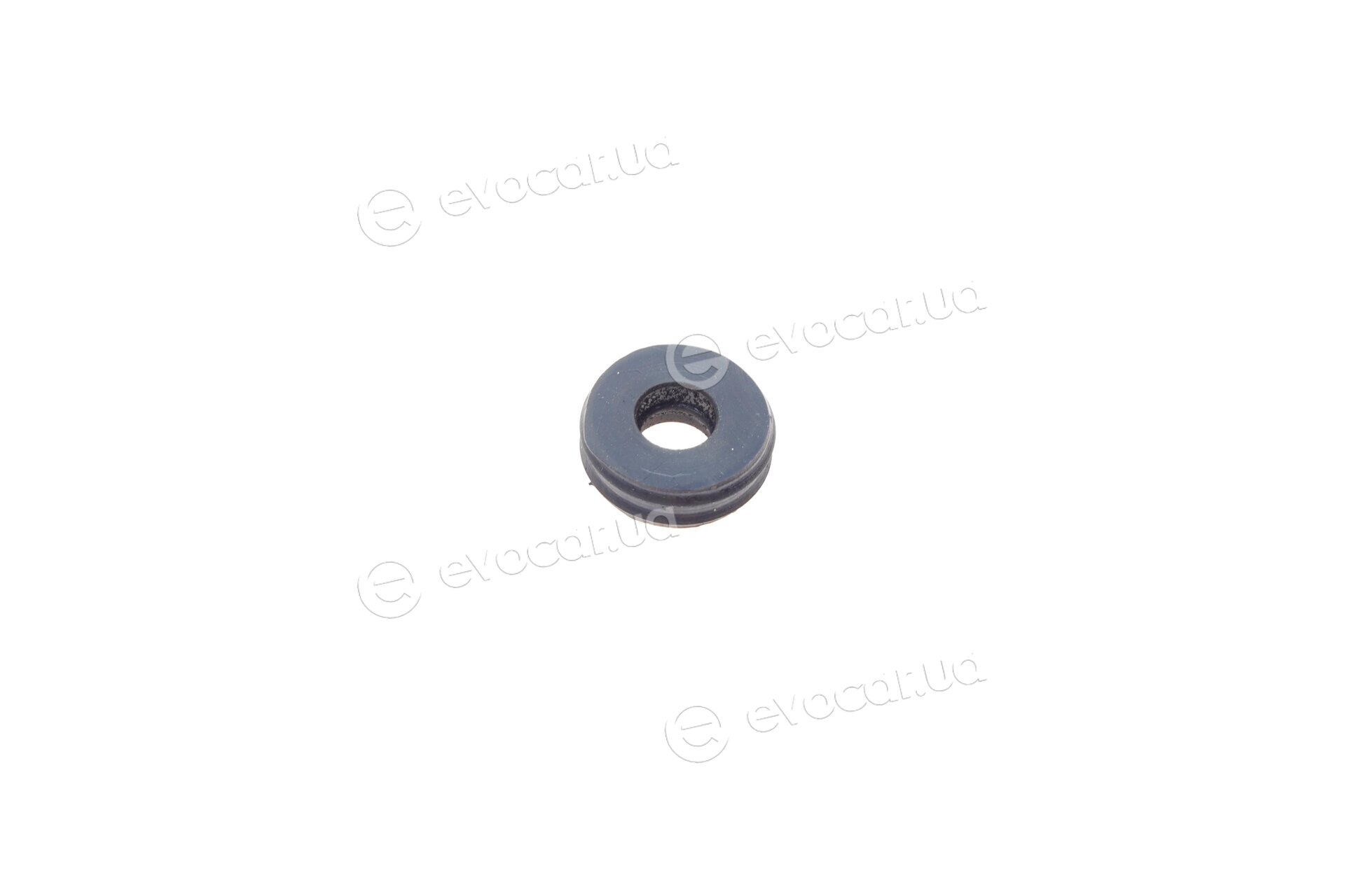 Frenkit 122001