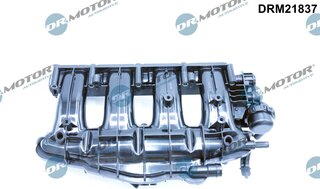 Dr. Motor DRM21837