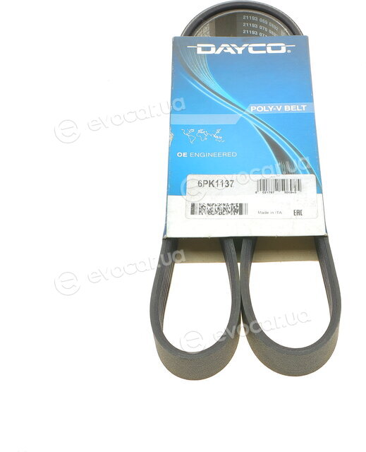 Dayco 6PK1137