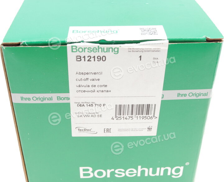 Borsehung B12190